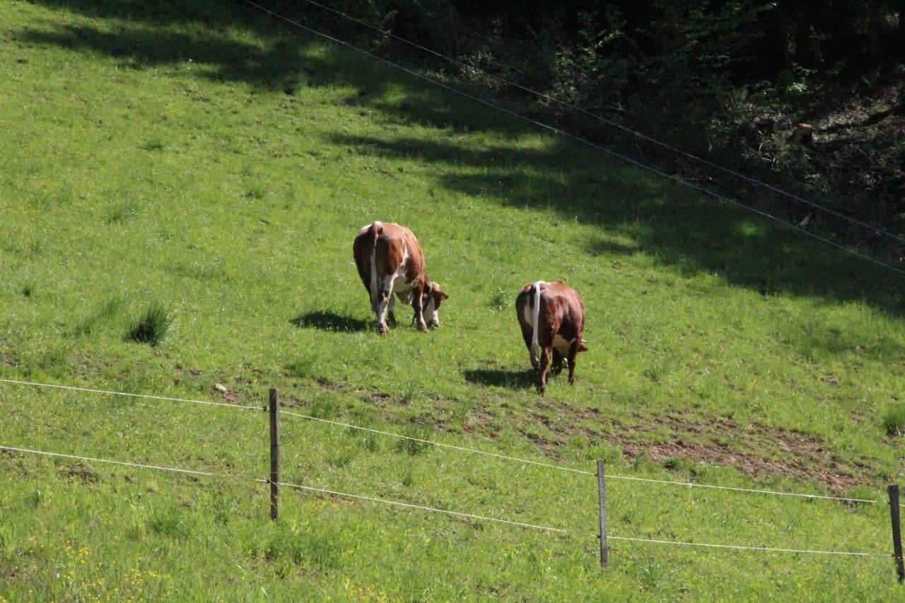 Ferienwohnung Kleissner Großklein Buitenkant foto